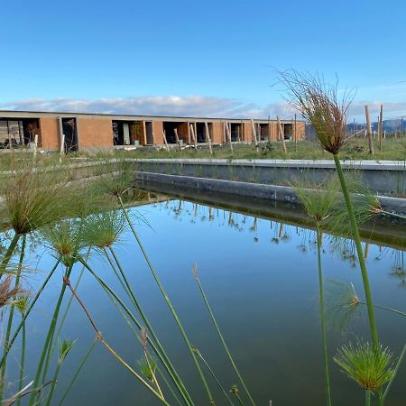 Santulan Bed & Breakfast Valle de Guadalupe Dış mekan fotoğraf