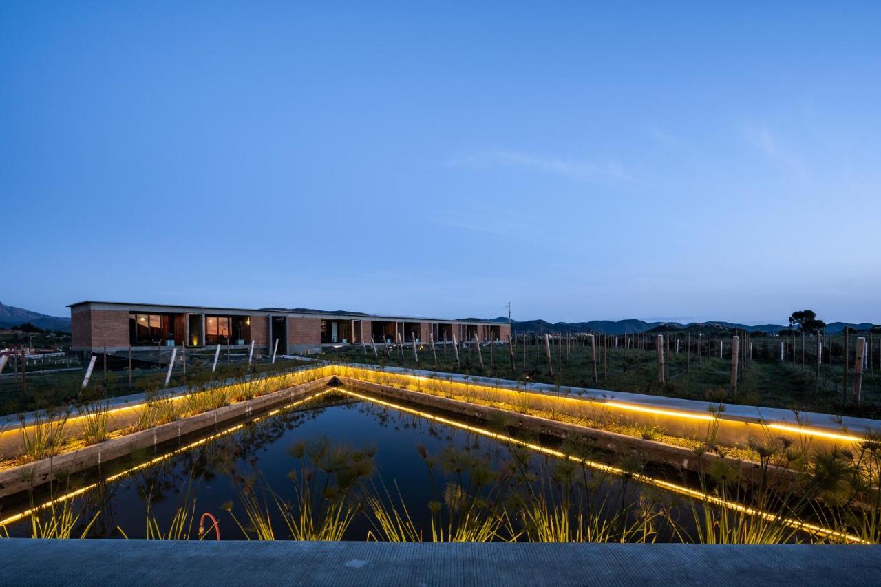 Santulan Bed & Breakfast Valle de Guadalupe Dış mekan fotoğraf